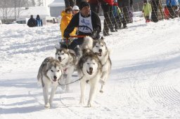 Lenk 2012 SM